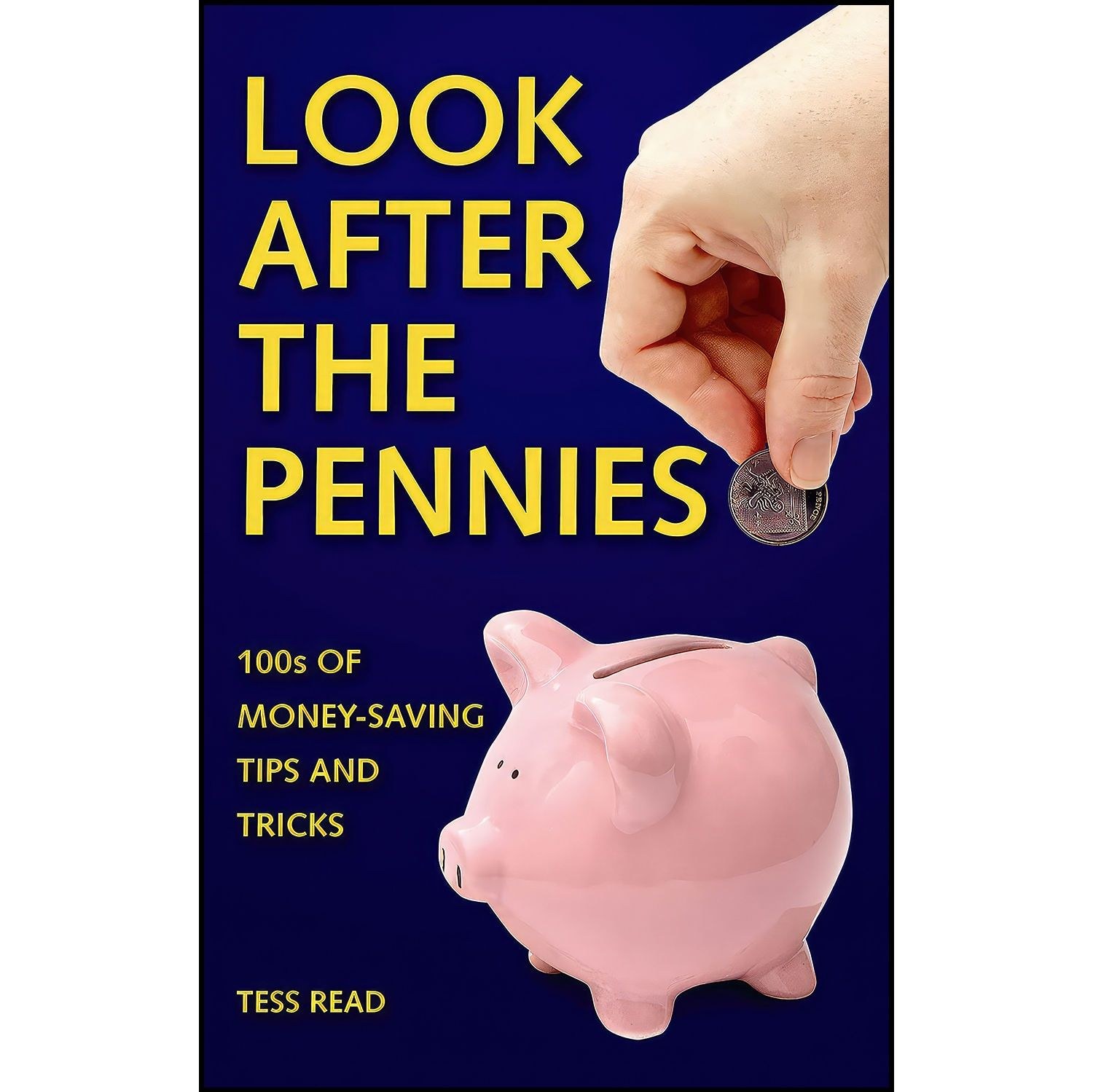 کتاب زبان اصلی Look After the Pennies اثر Tess Read