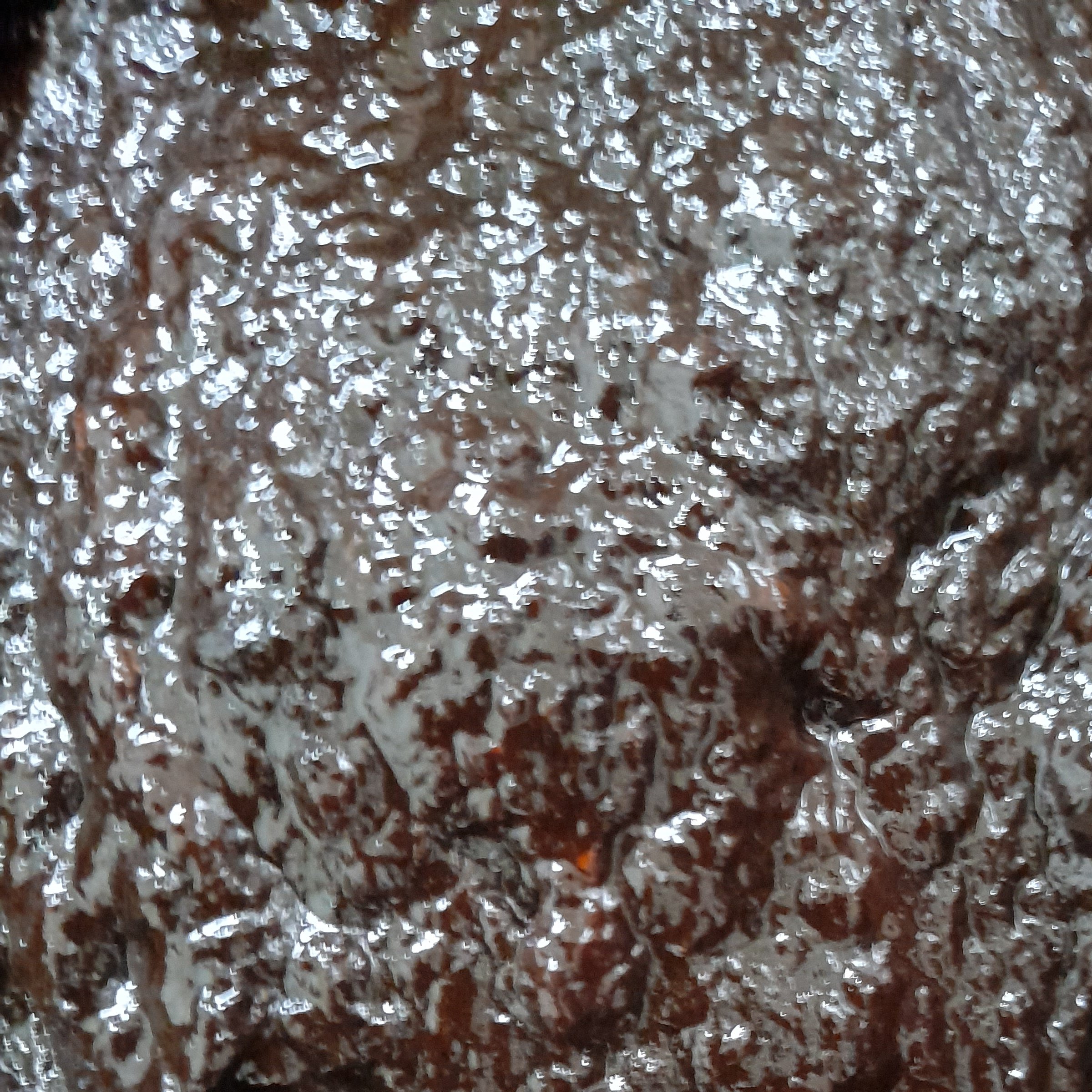 رب انار پارساله ملس (2200گرمی)