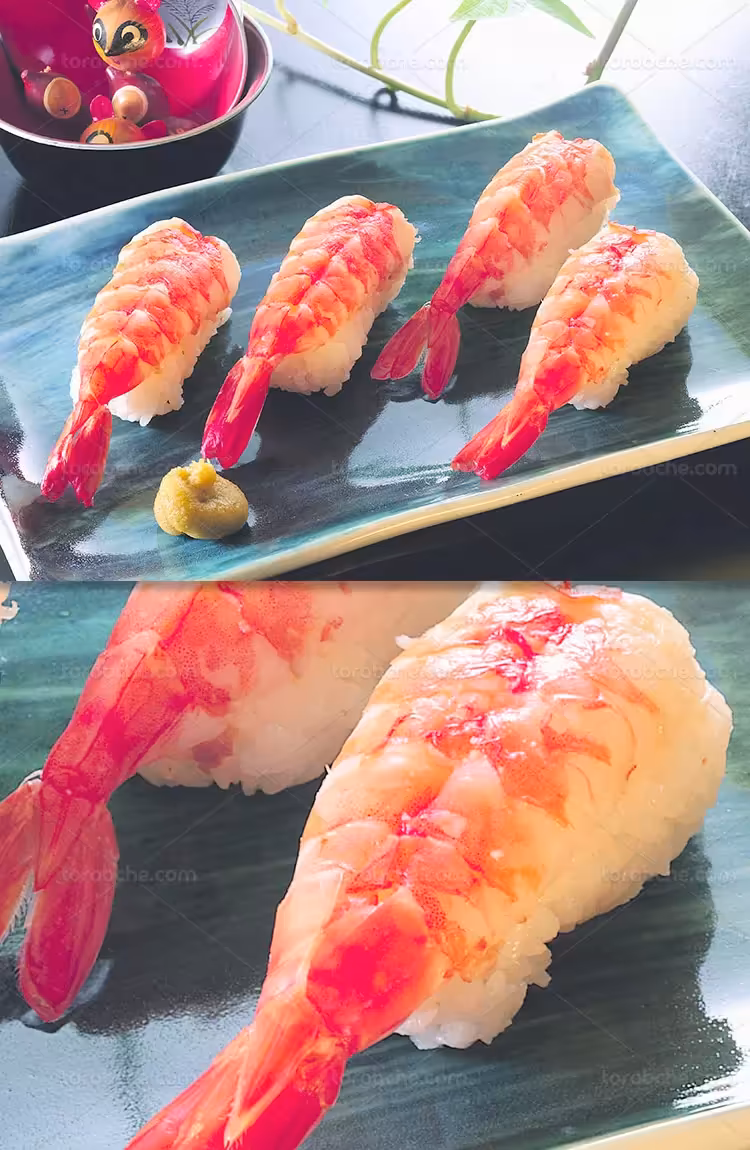 عکس غذای دریایی با کیفیت | گرافیک با طعم تربچه