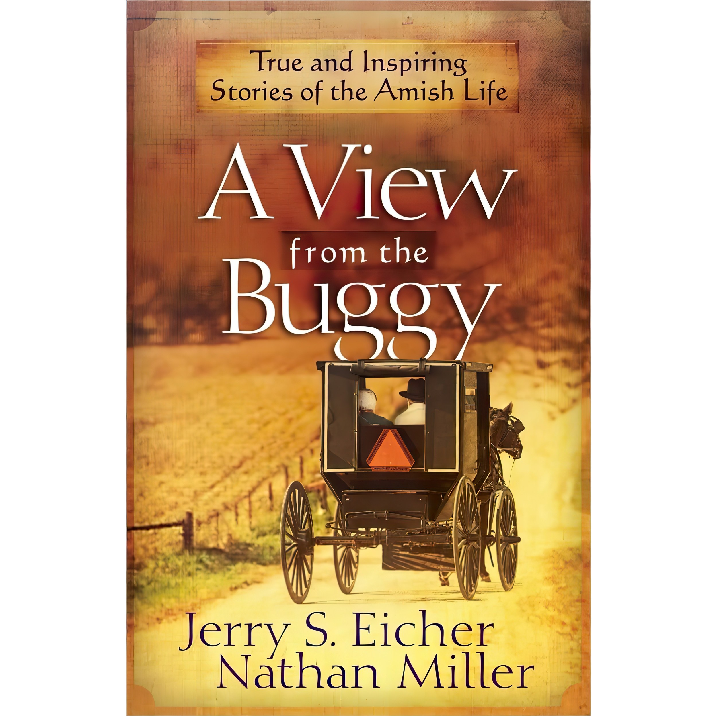 کتاب زبان اصلی A View from the Buggy اثر Jerry S Eicher and Nathan Miller