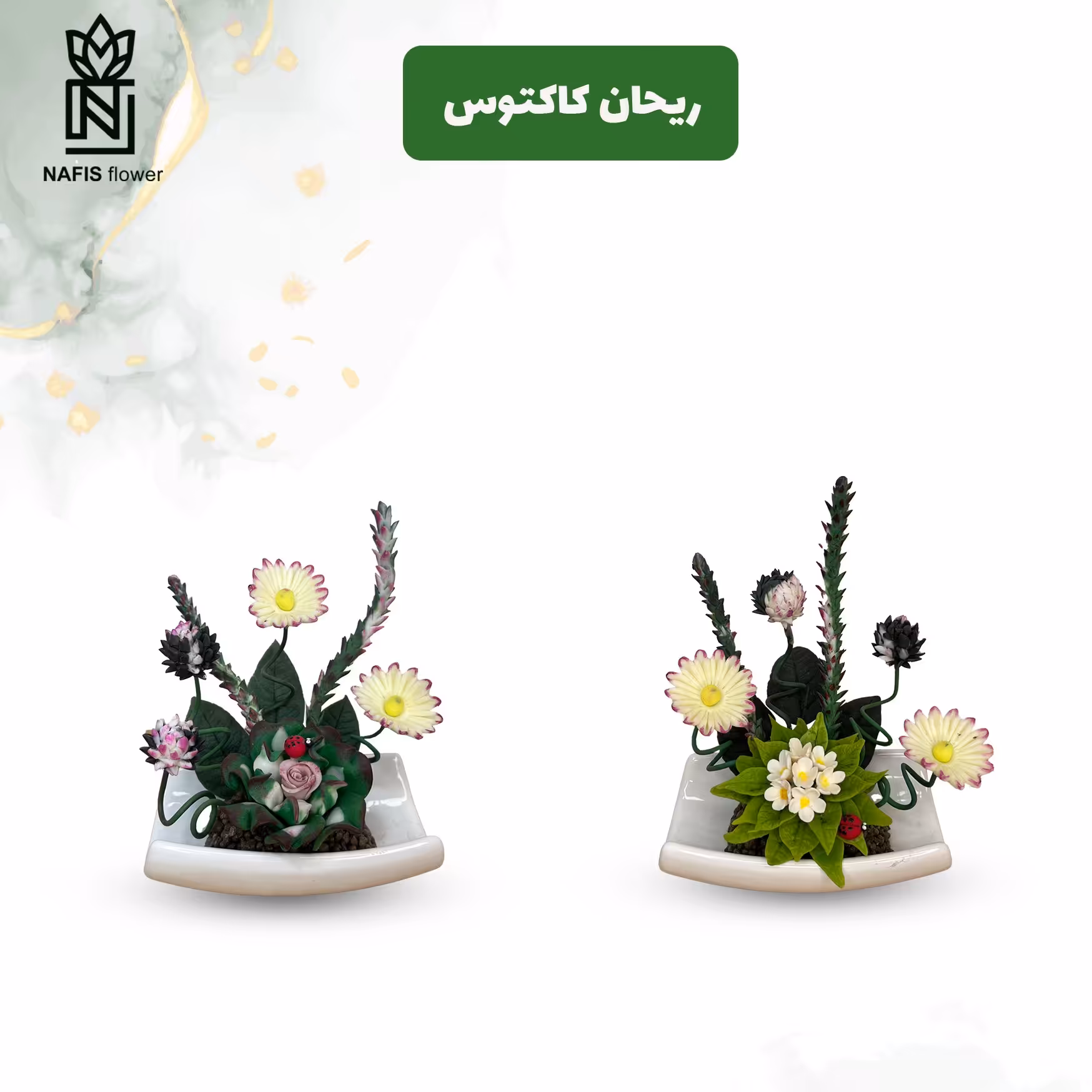 گل کادویی ریحان کاکتوس