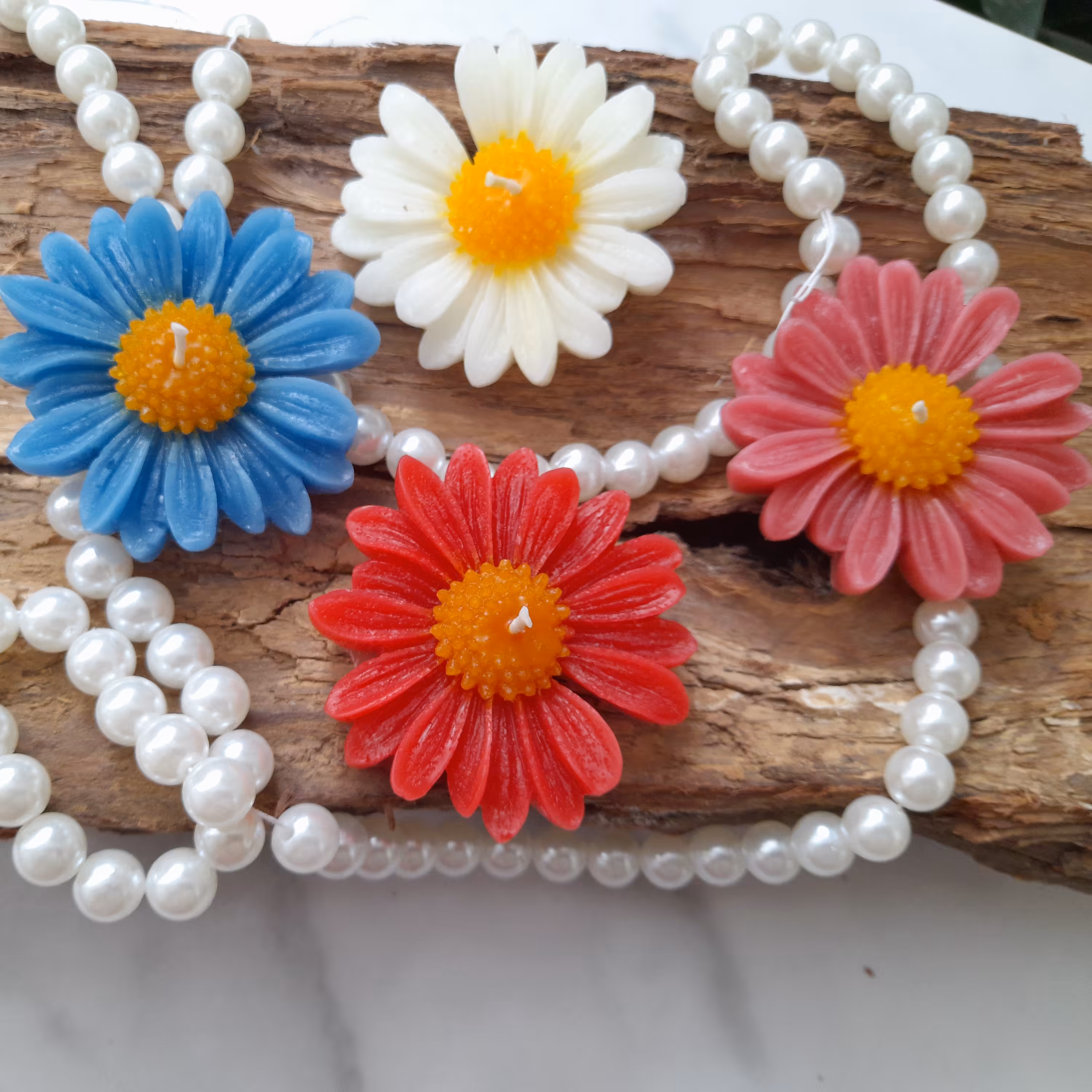 گل بابونه یامارگاریت  دررنگ بندی دلخواه قابل سفارش