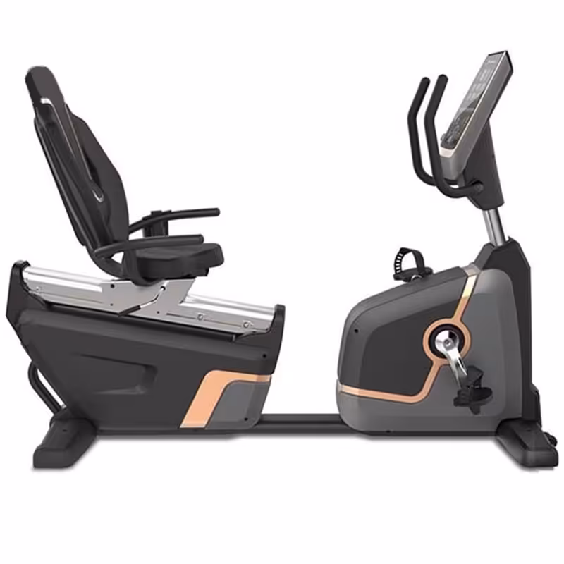 دوچرخه ثابت پشتی دار تایگر اسپرت مدل 6566 PRO