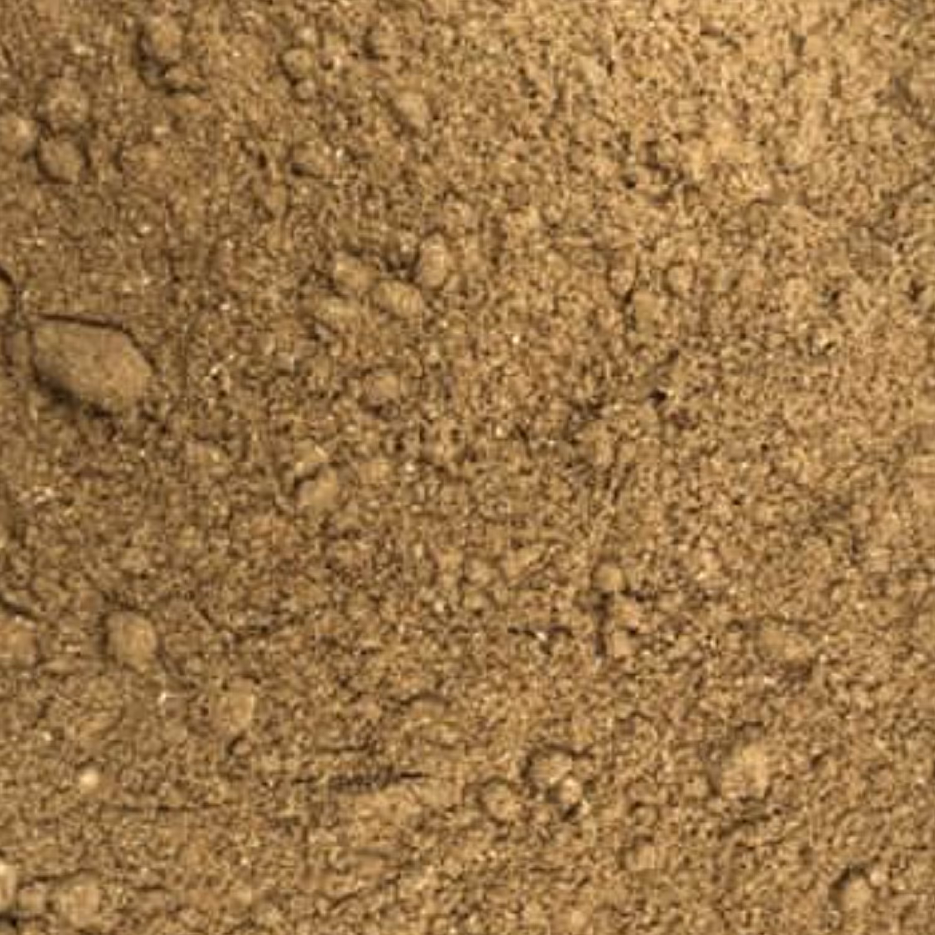 ادویه کاری مخصوص (هاش) مقدار (250 گرمی)