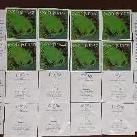 سیم ویولن پیراسترو سبز اوا پیرازی 