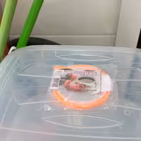 صافی پارچه ای بزرگ 10 عددی با ارسال رایگان