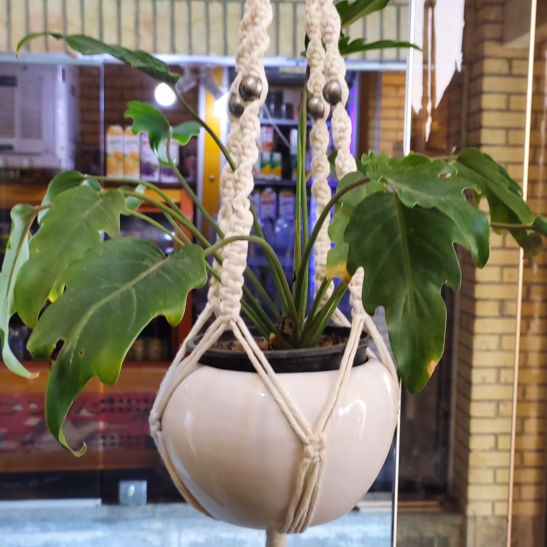 آویز گلدان مکرومه بافی 