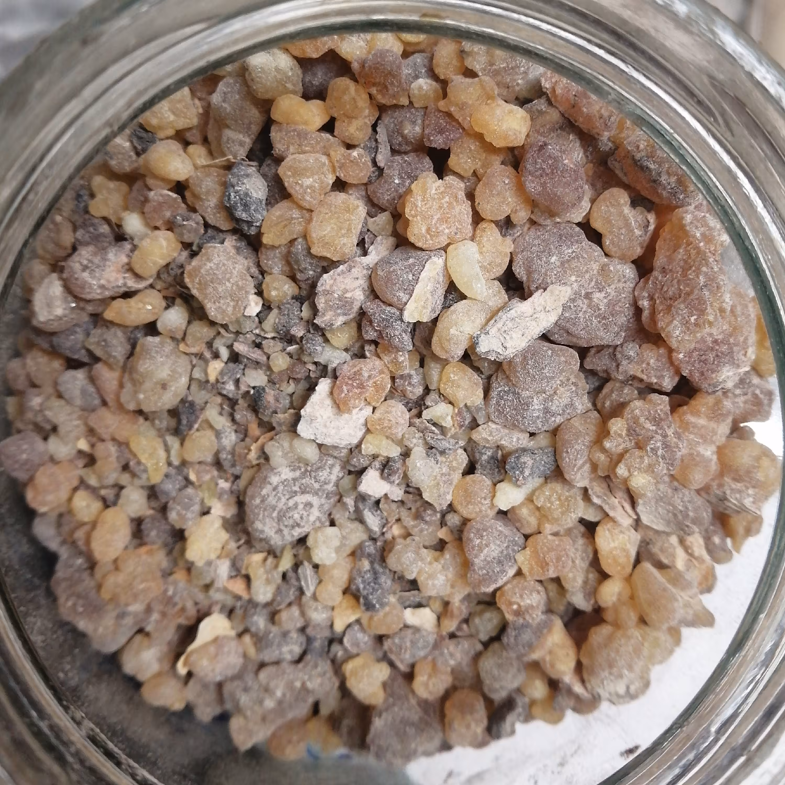 فاسوخ مغربی 50 گرم