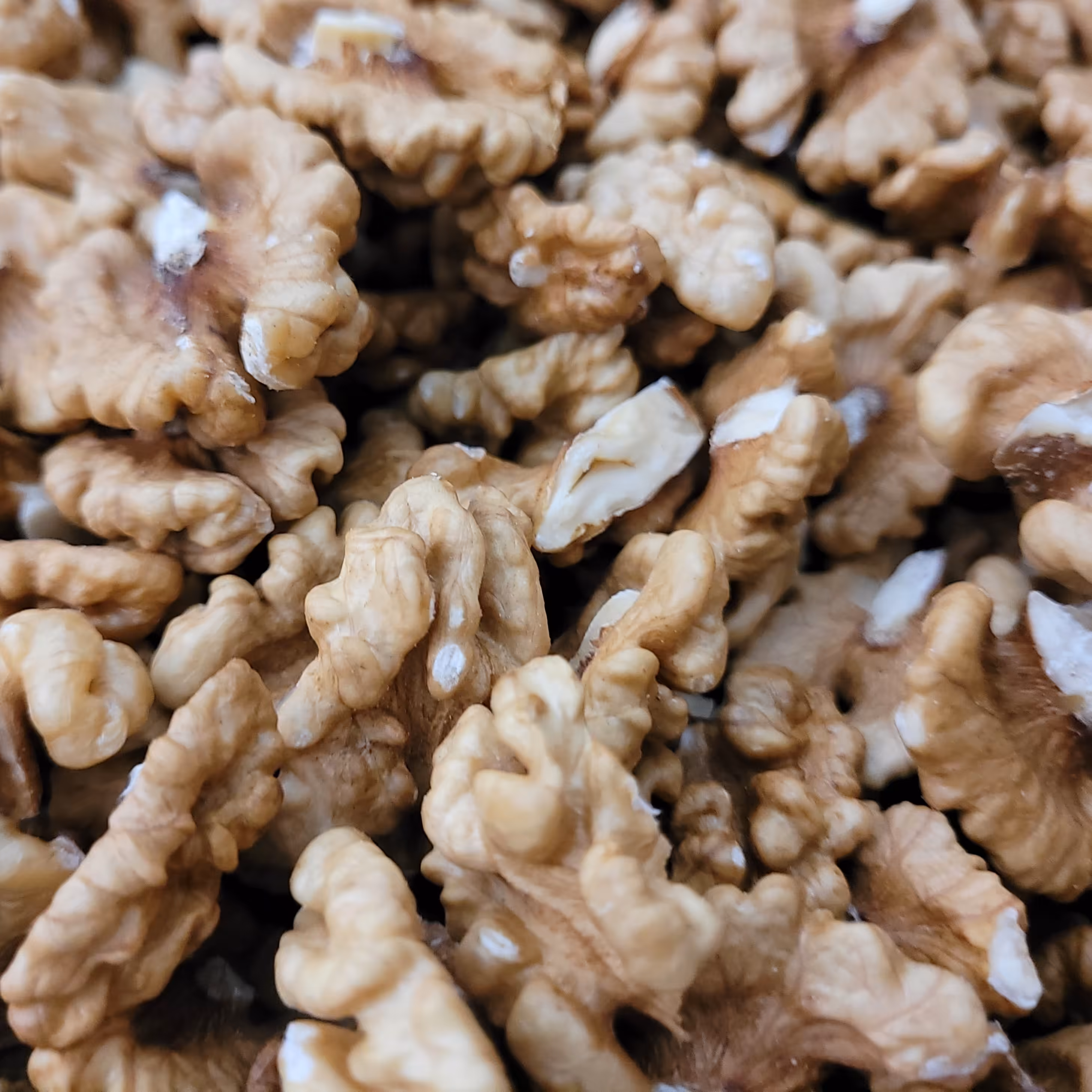 مغز گردو (فروش فله) 