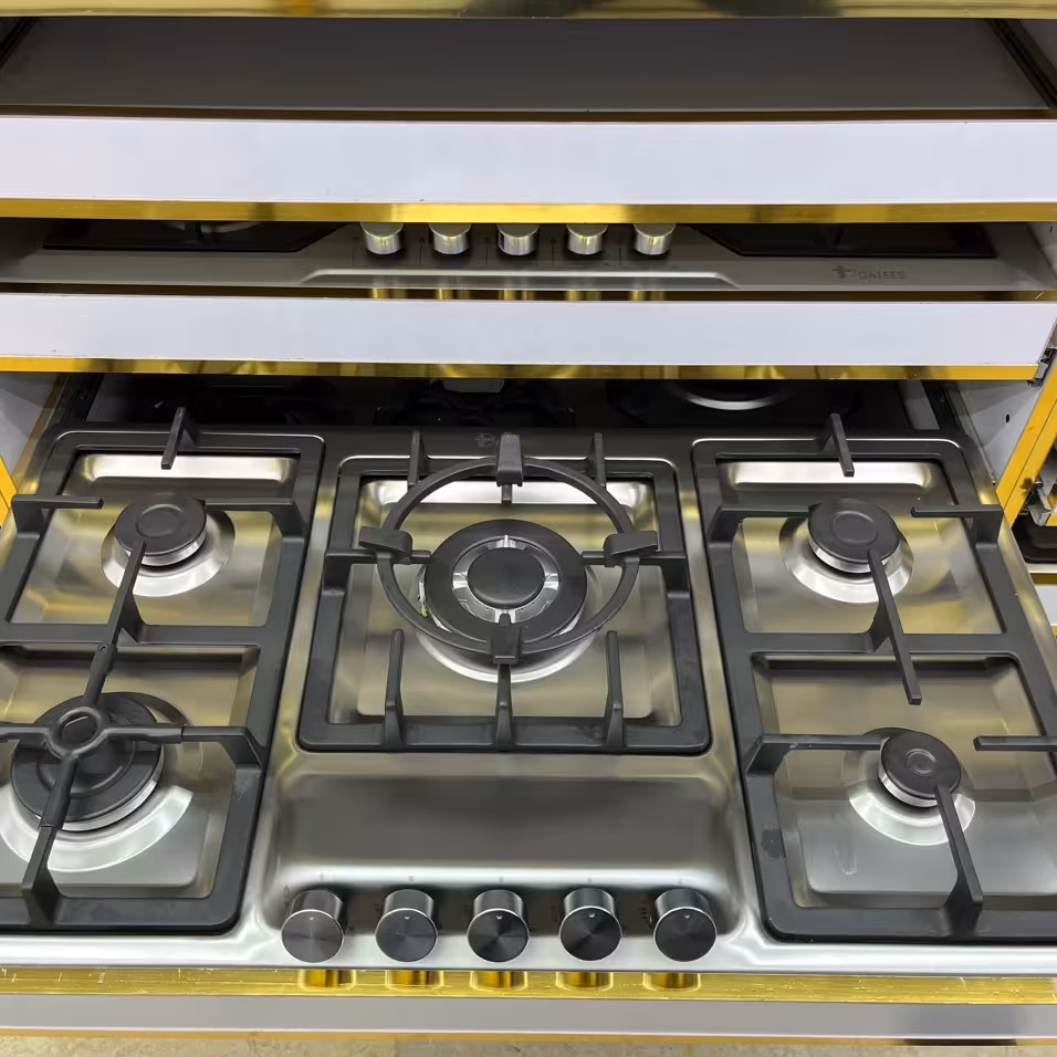 اجاق گاز صفحه ای داتیس مدل DS-514