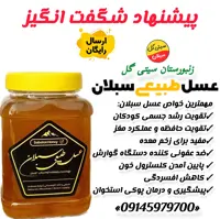 عسل سبلان بهاره خام 1 کیلویی(مستقیم اززنبوردار)ارسال رایگان