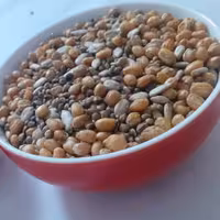 گندم برشته( گندم شاه دانه سنتی) (500 گرم)
