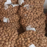 گردو ارگانیک کیفیت متوسط