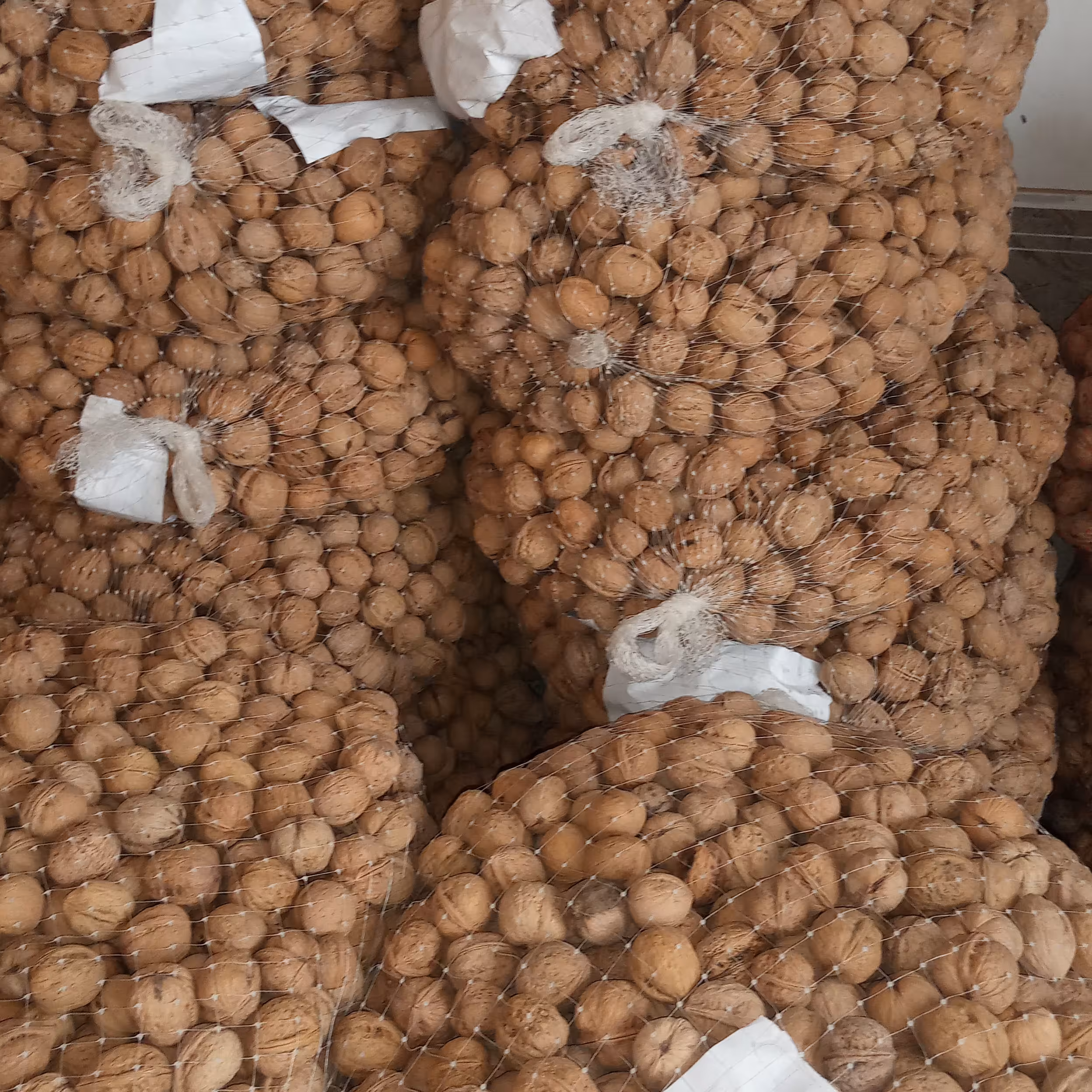 گردو ارگانیک کیفیت متوسط