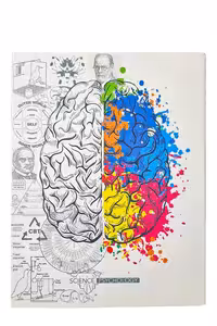 کلاسور 26 حلقه B5 Scientist Psychology