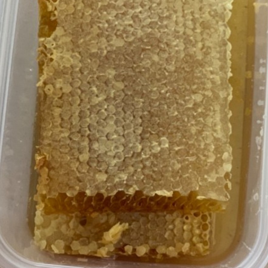 عسل یک کیلویی موم دار