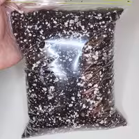 خاک مخصوص گیاهان آپارتمانی