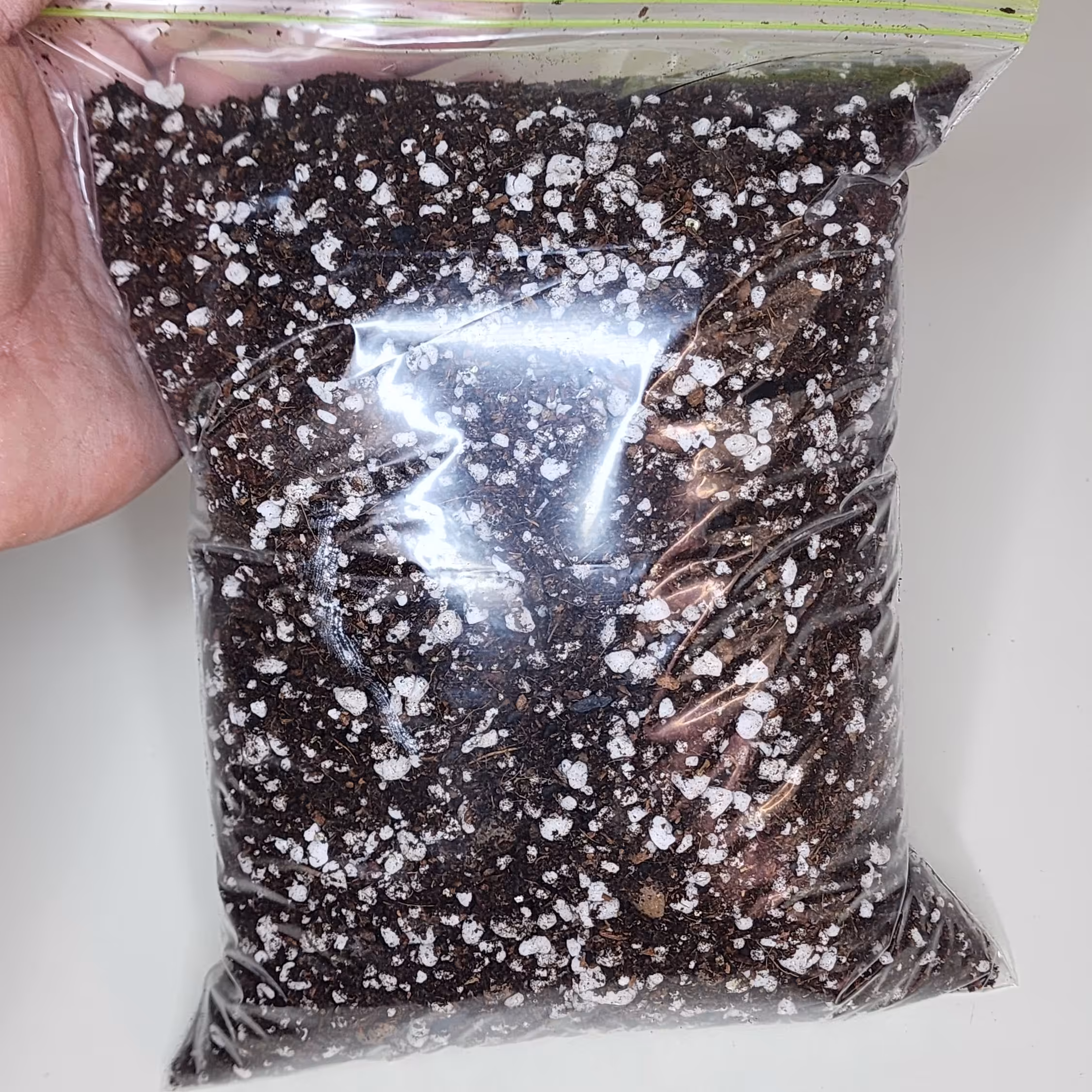 خاک مخصوص گیاهان آپارتمانی