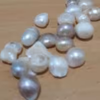 مروارید طبیعی درشت خوراکی استرالیایی 20 گرمی 