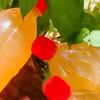 سرکه سیب ارگانیک