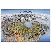 تابلو شاسی پالمیرا طرح نقشه سه بعدی کانادا کد MAP164 I سایز 50X70