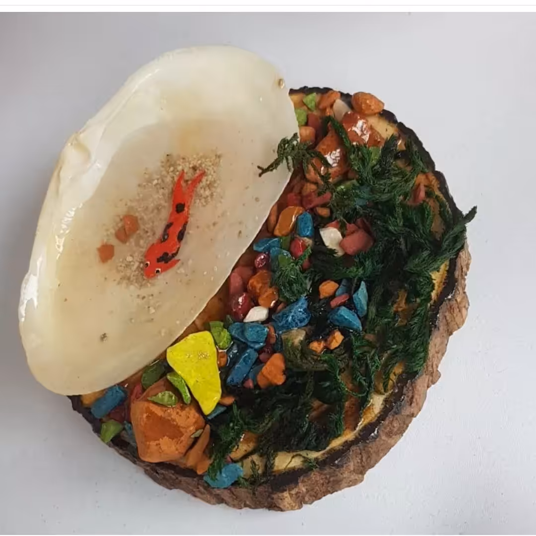 تنگ صدفی  ماهی رزینی  مخصوص هفت سین