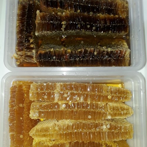عسل باموم پرطرفدار و خوشمزه