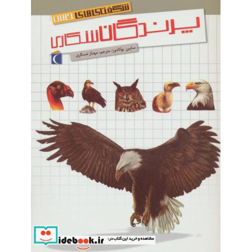 کتاب شگفتی های جهان پرندگان شکاری