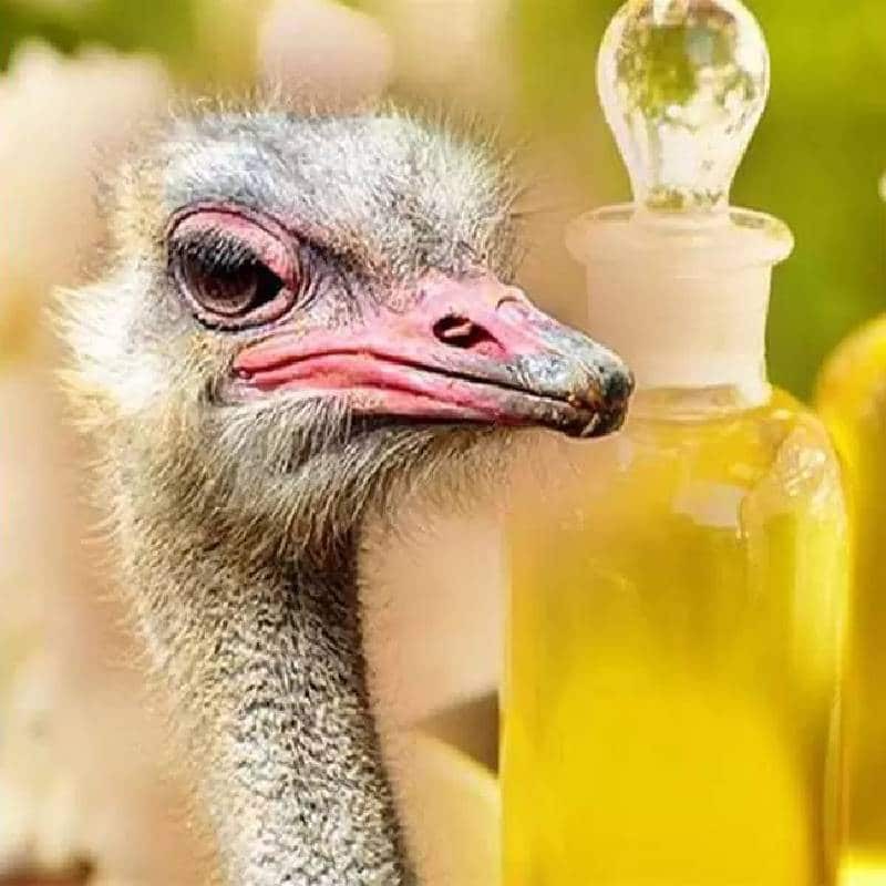 روغن شتر مرغ صد در صد خالص و طبیعی بدون هیچگونه افزودنی