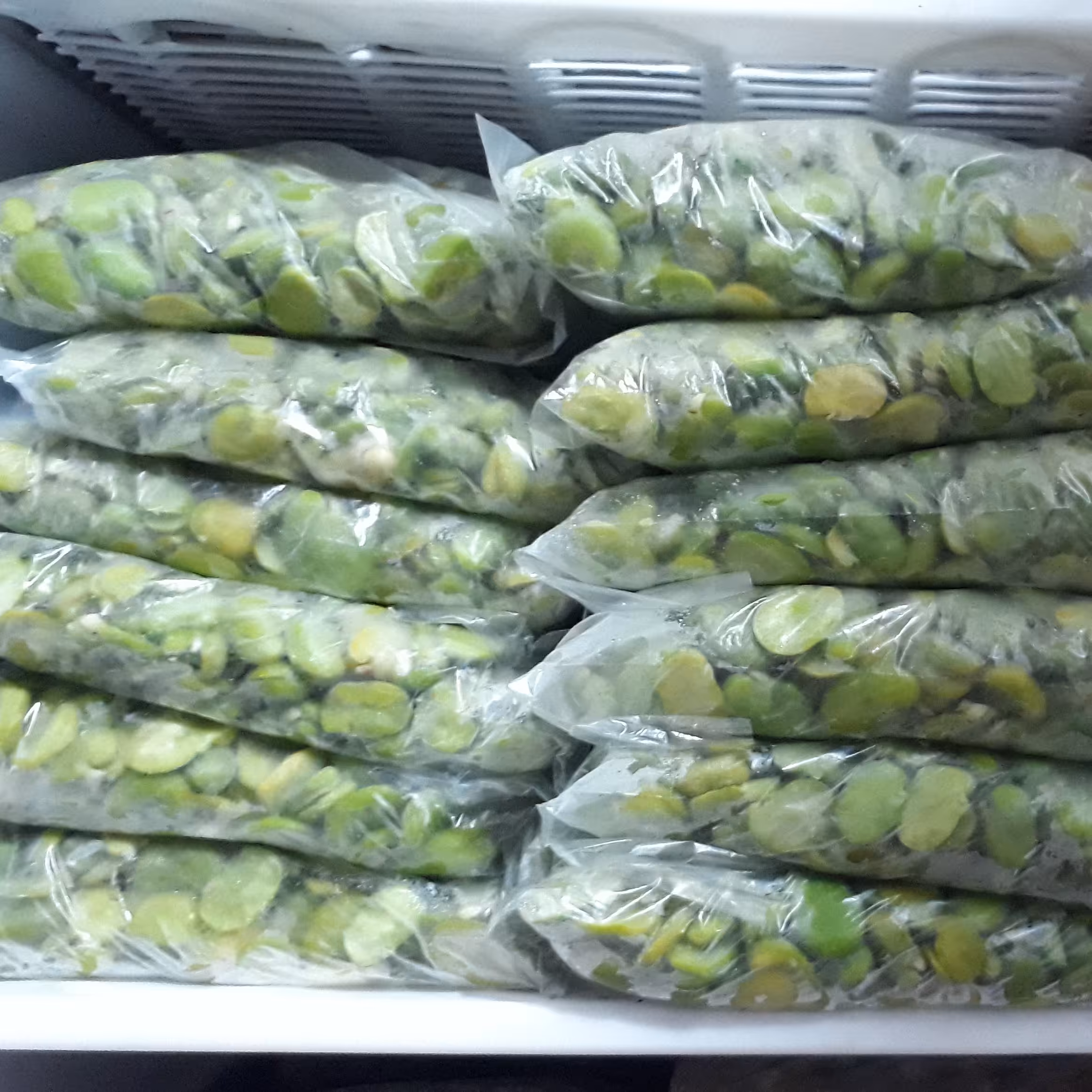 باقالی سبز درجه یک ارسال به صورت پس کرایه