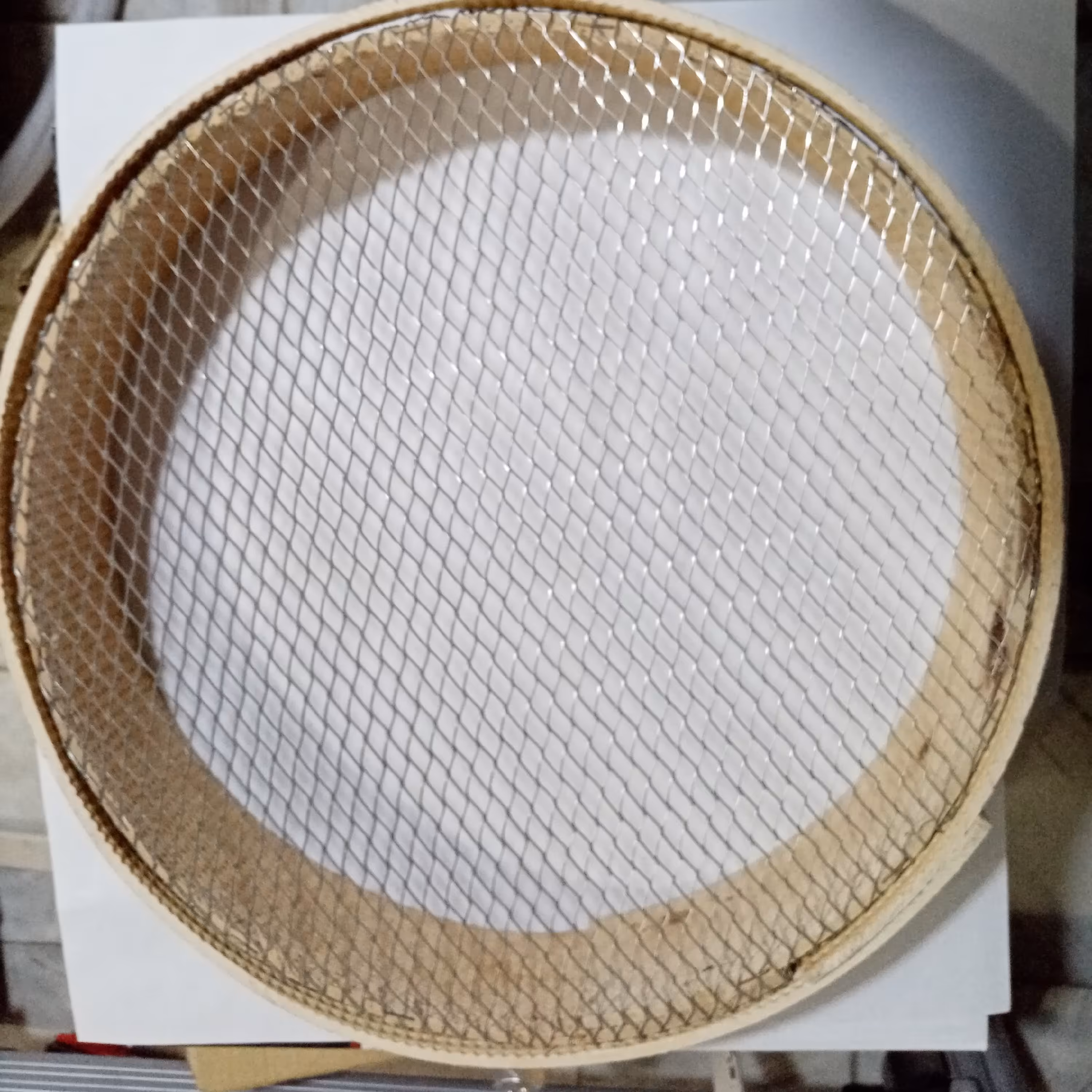 الک چشم بلبلی 42 سانتی ارتفاع 10