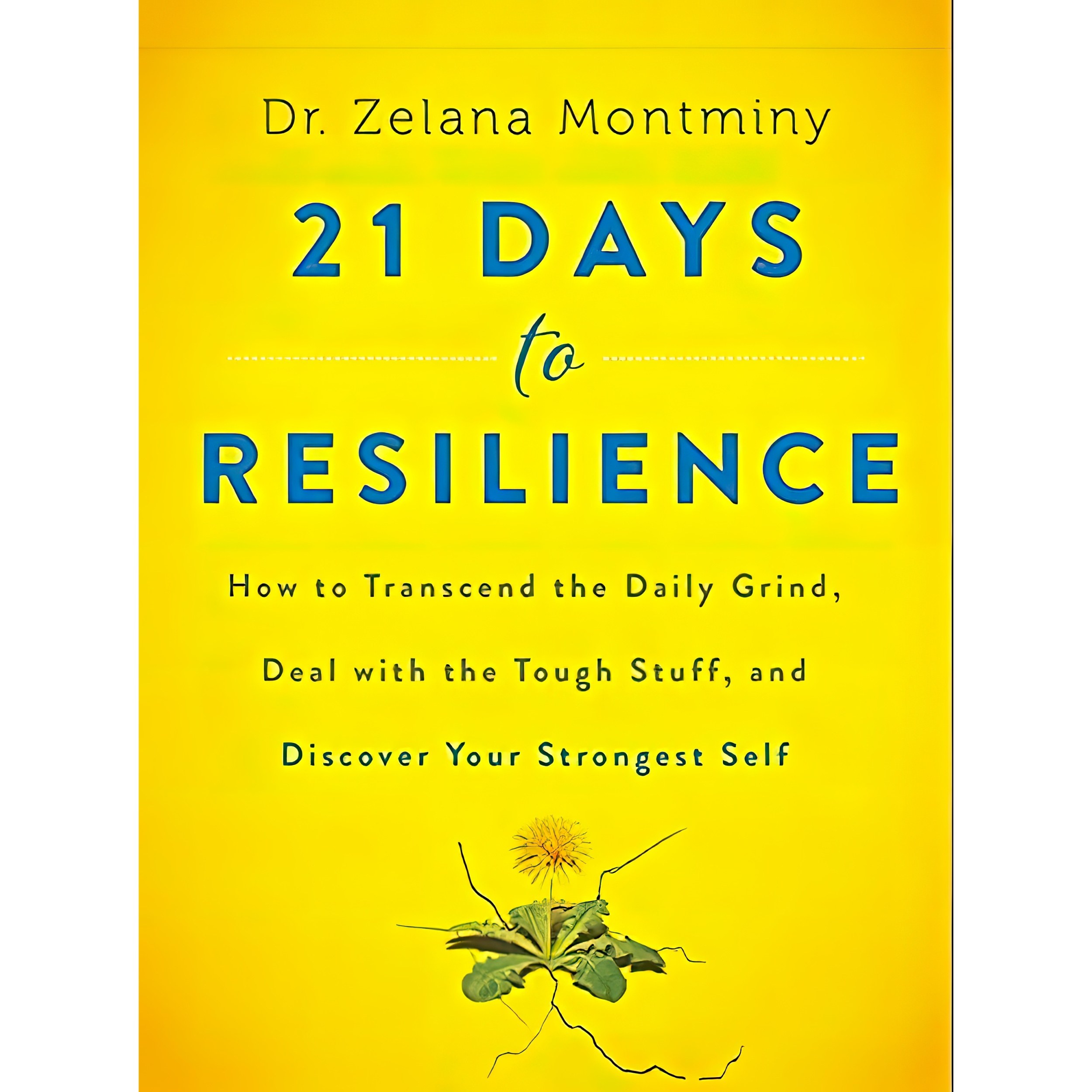 کتاب زبان اصلی Days to Resilience اثر Zelana Montminy انتشارات HarperOne