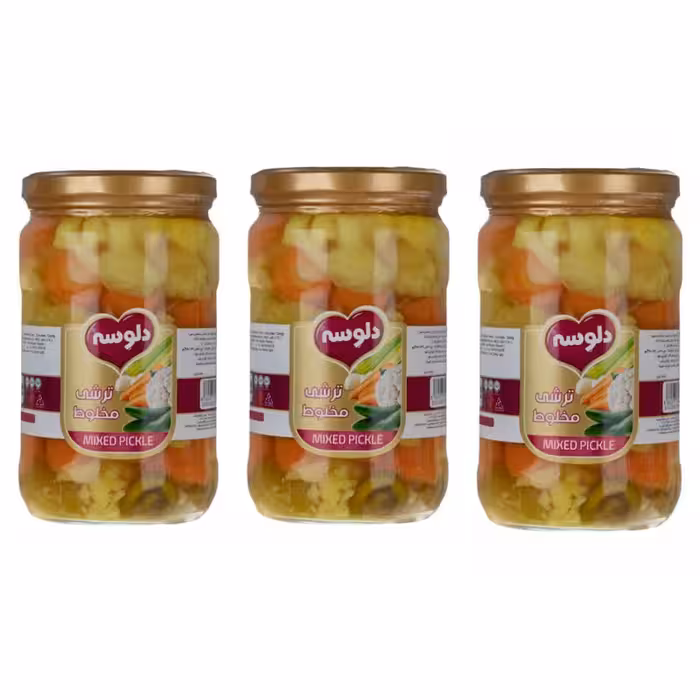 ترشی مخلوط دلوسه - 680 گرم بسته 3 عددی