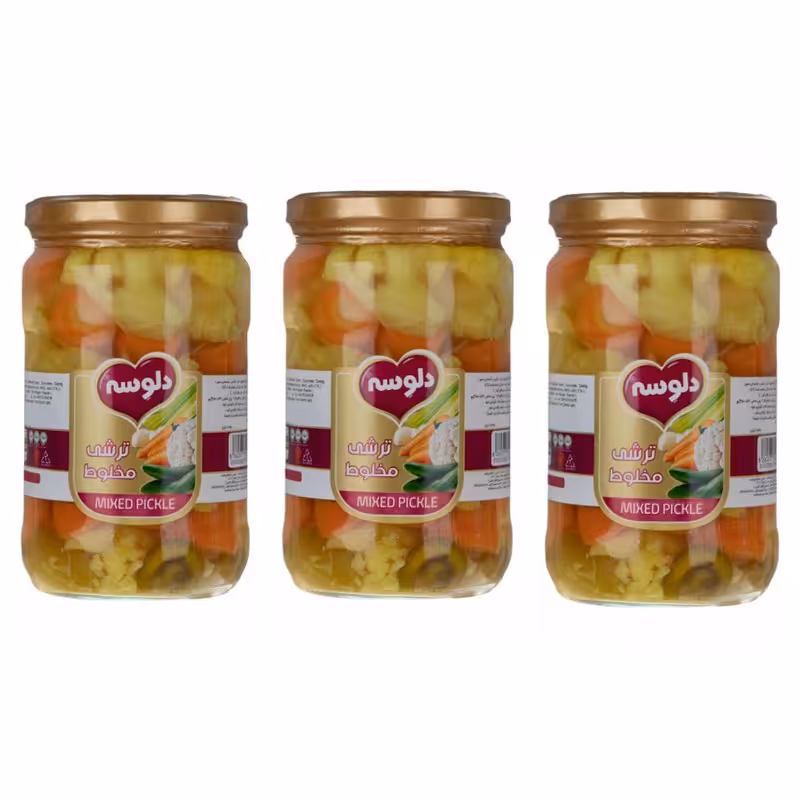 ترشی مخلوط دلوسه - 680 گرم بسته 3 عددی