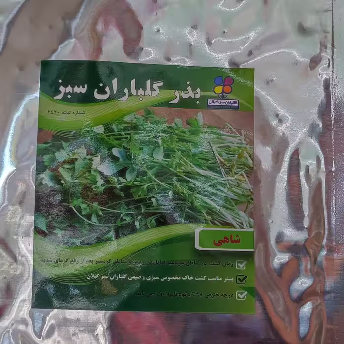 بذر شاهی اصلاح شده گیلان