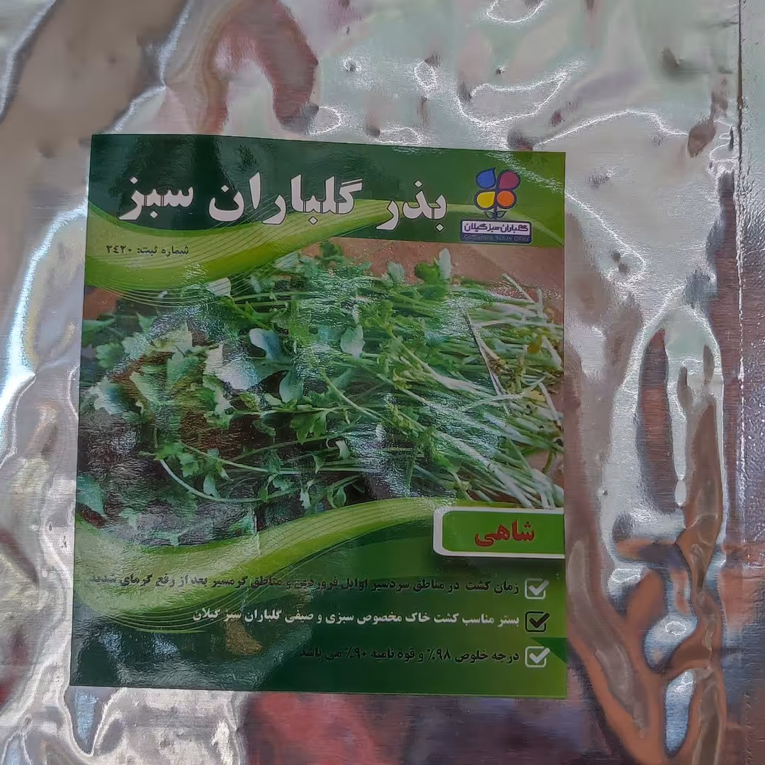 بذر شاهی اصلاح شده گیلان