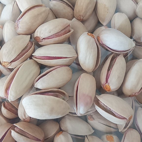 پسته درجه یک