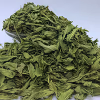 برگ نعنا خشک  مناسب جهت دمنوش و آسیاب