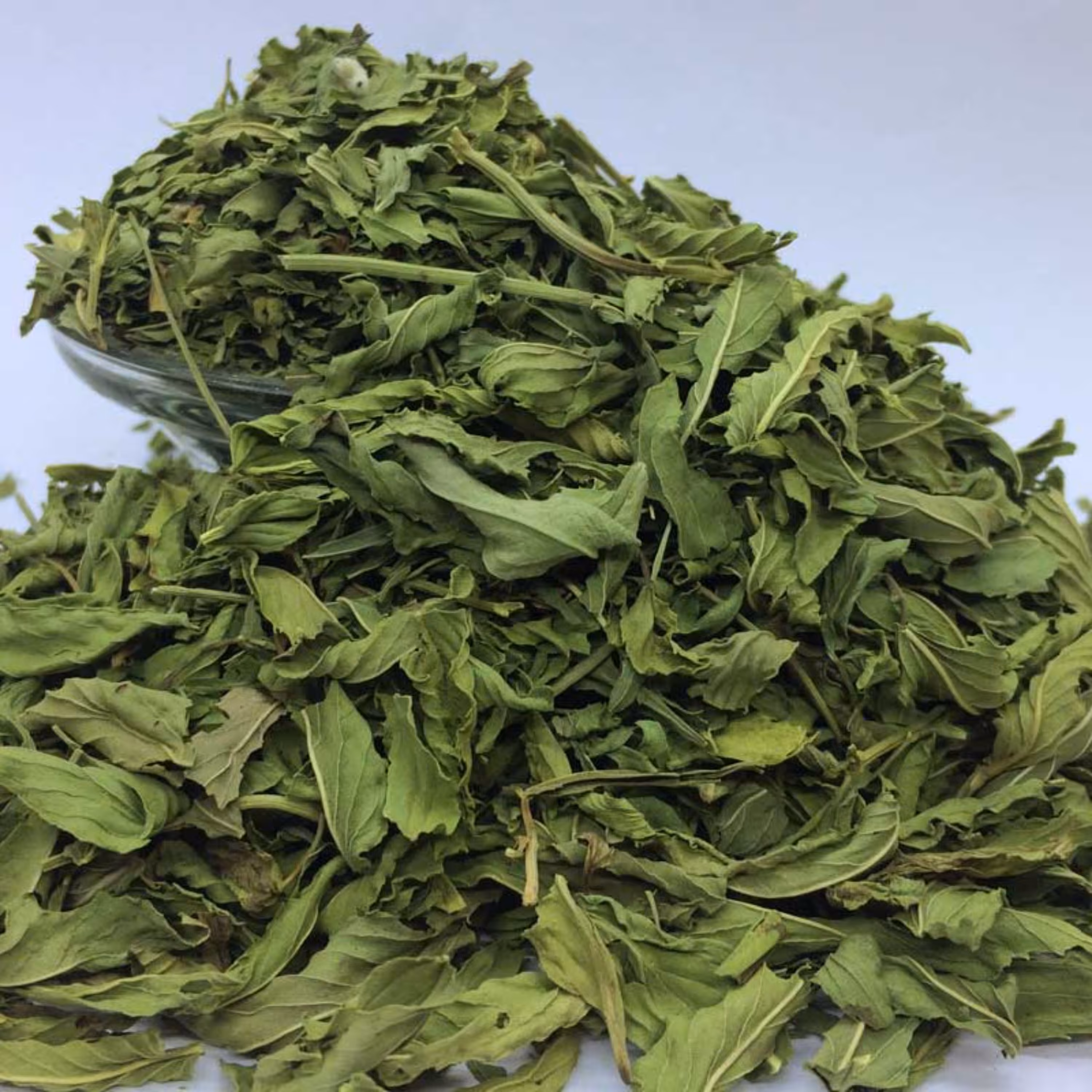 برگ نعنا خشک  مناسب جهت دمنوش و آسیاب