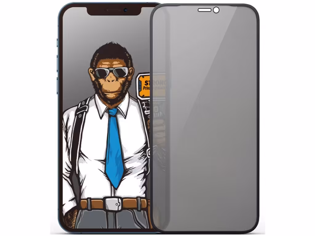 گلس پرایویسی آیفون ایکس اس و آیفون 11 پرو بولو Blueo iPhone Xs / iPhone 11 Pro Privacy Glass