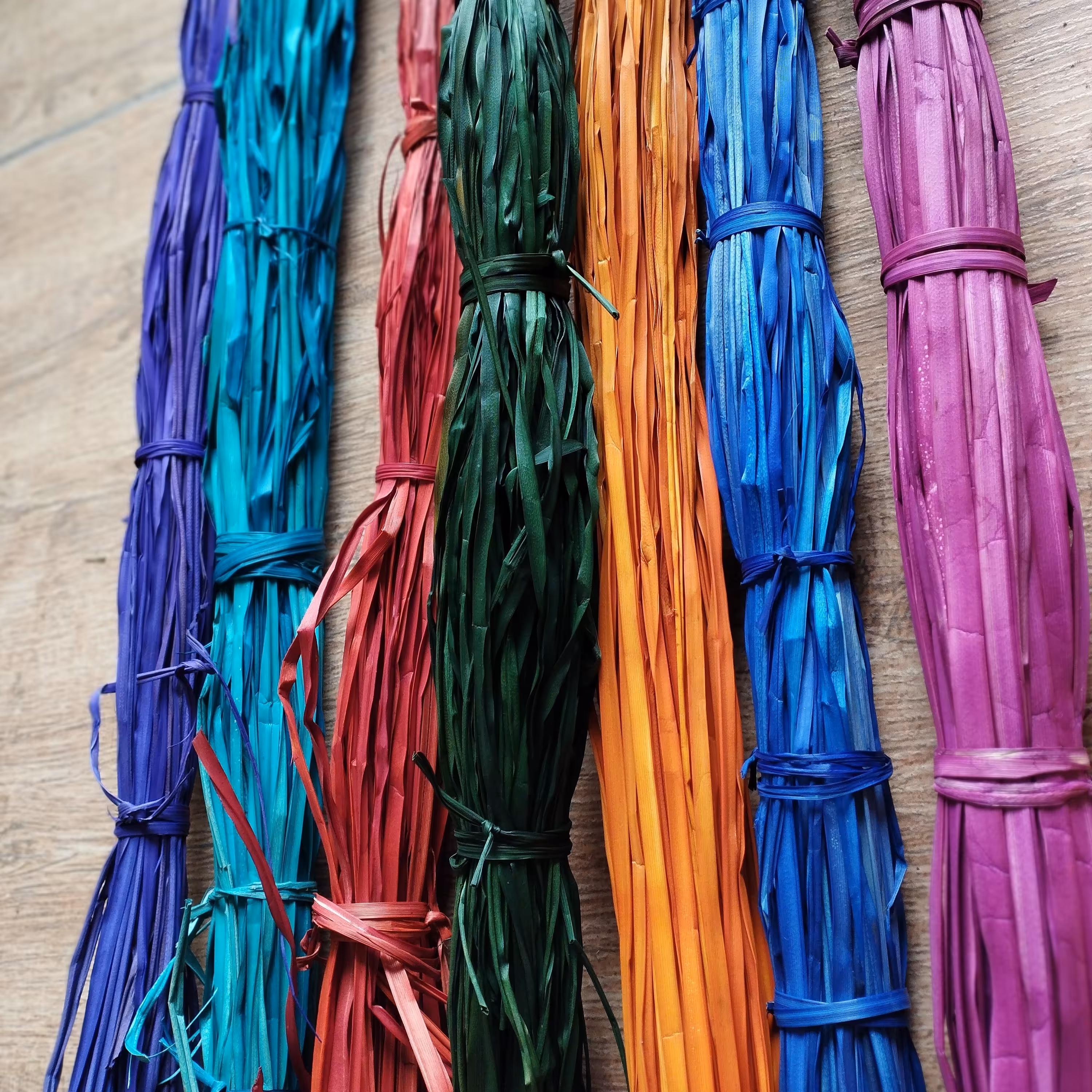 گیاه گالی رنگی حصیربافی