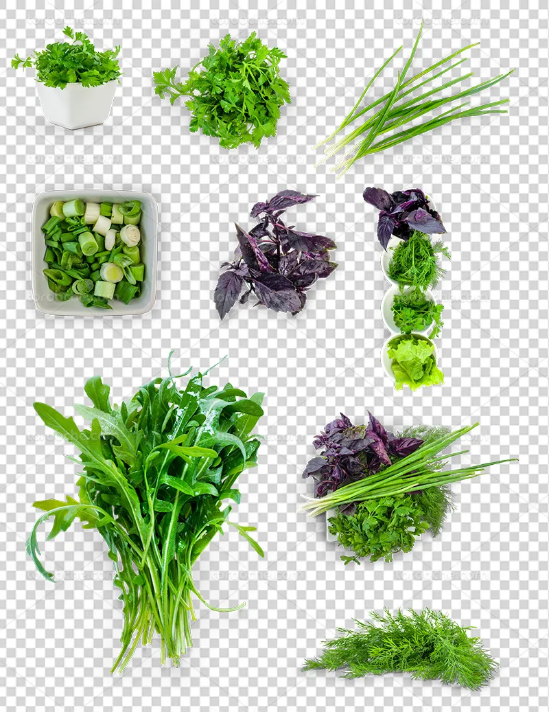 عکس PNG سبزی خوردن | گرافیک با طعم تربچه