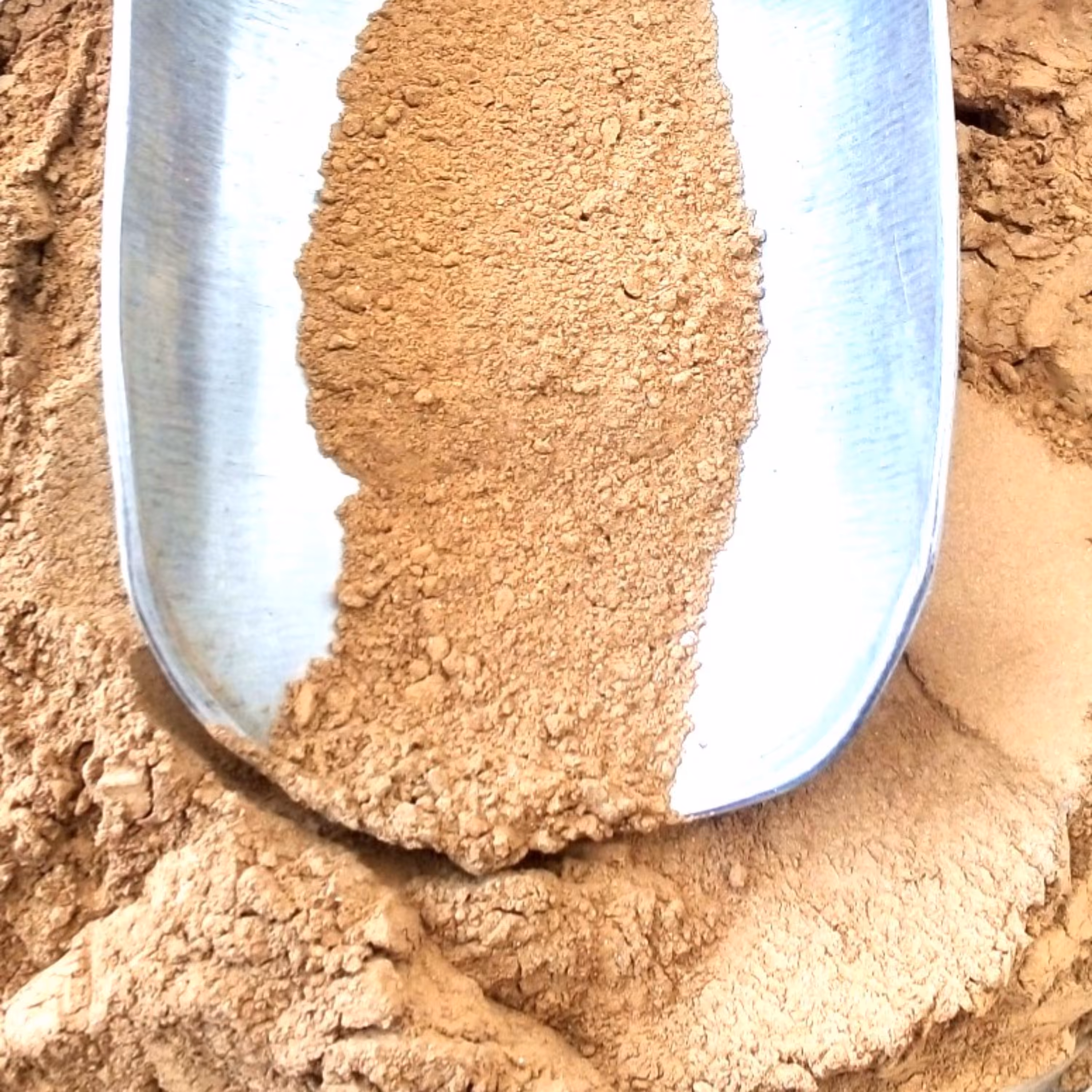 خاک مردار (نقره سنگ)