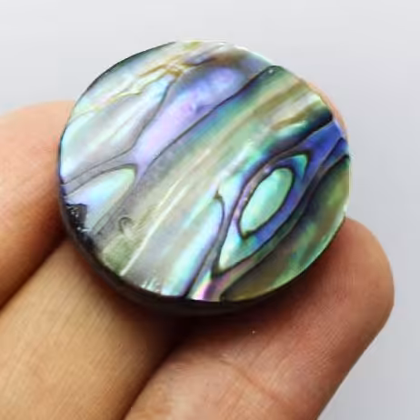 نگین صدف آبالون اصل تراش دایره ای 