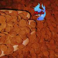  غذای ماهی ویفر قرصی استاگزانتین 100 گرمی