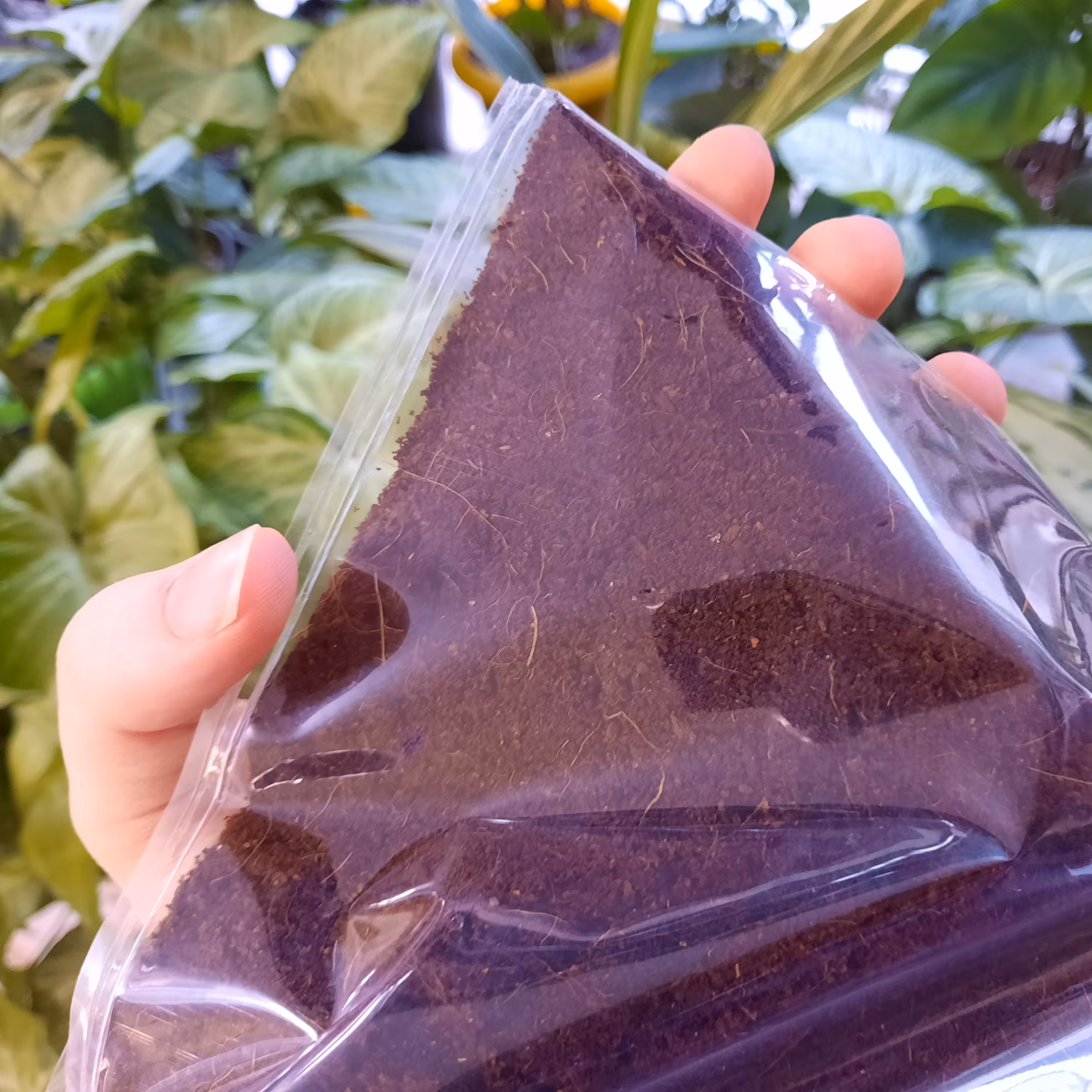 کوکوپیت فاین وارداتی (هندی)