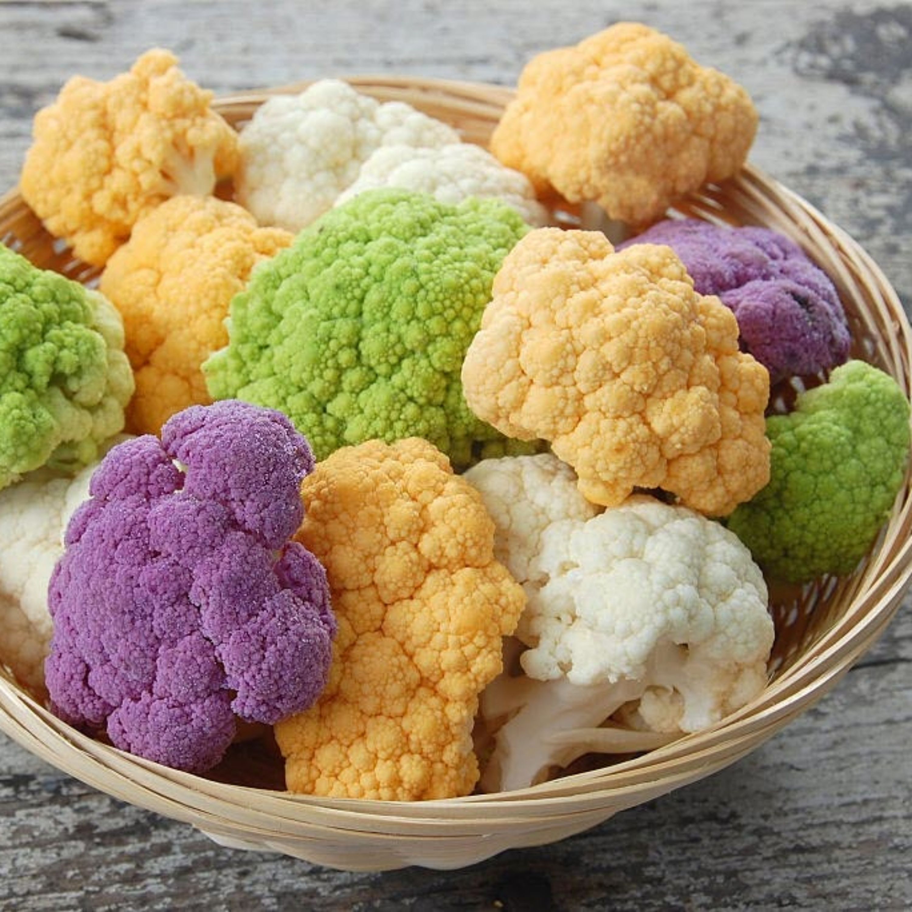 بذر گل کلم رنگی