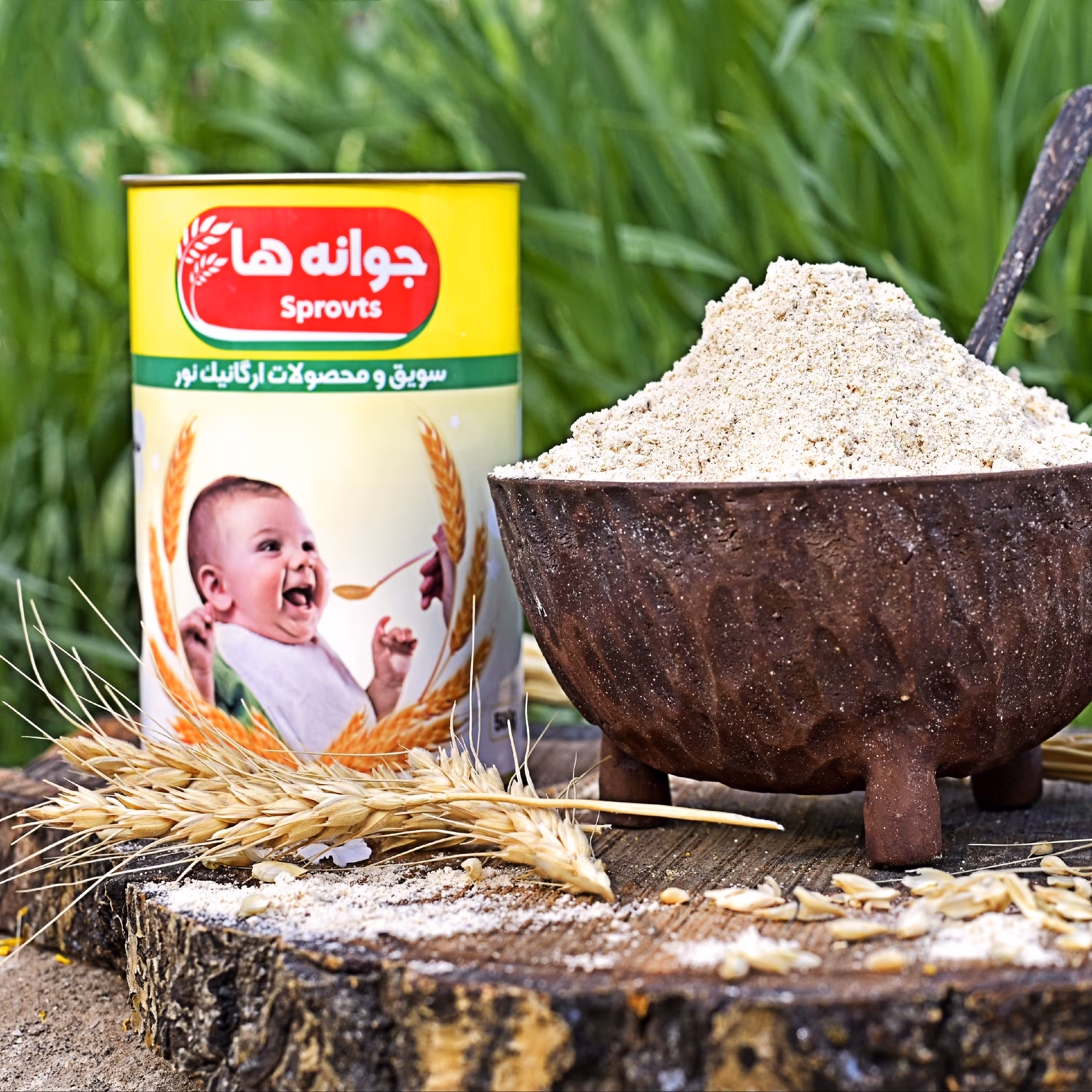 میکس جوانه ها 300گرم 