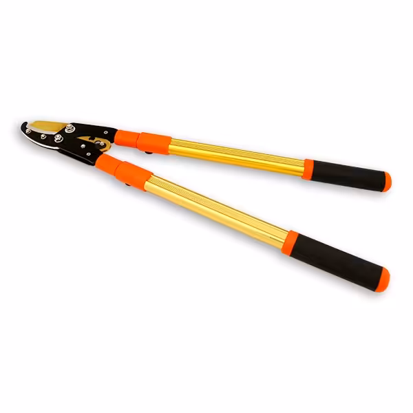 قیچی شاخه زن دسته تلسکوپی واستر