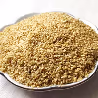 کنجد روغن گیری  و ارده گیری اعلاء(1800 گرمی) به شرط ضمانت
